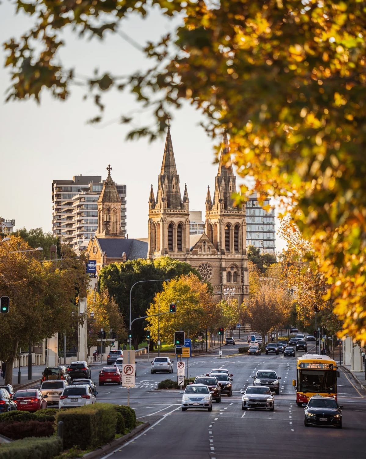 Adelaide city street and cathedral, representing our South Australian home